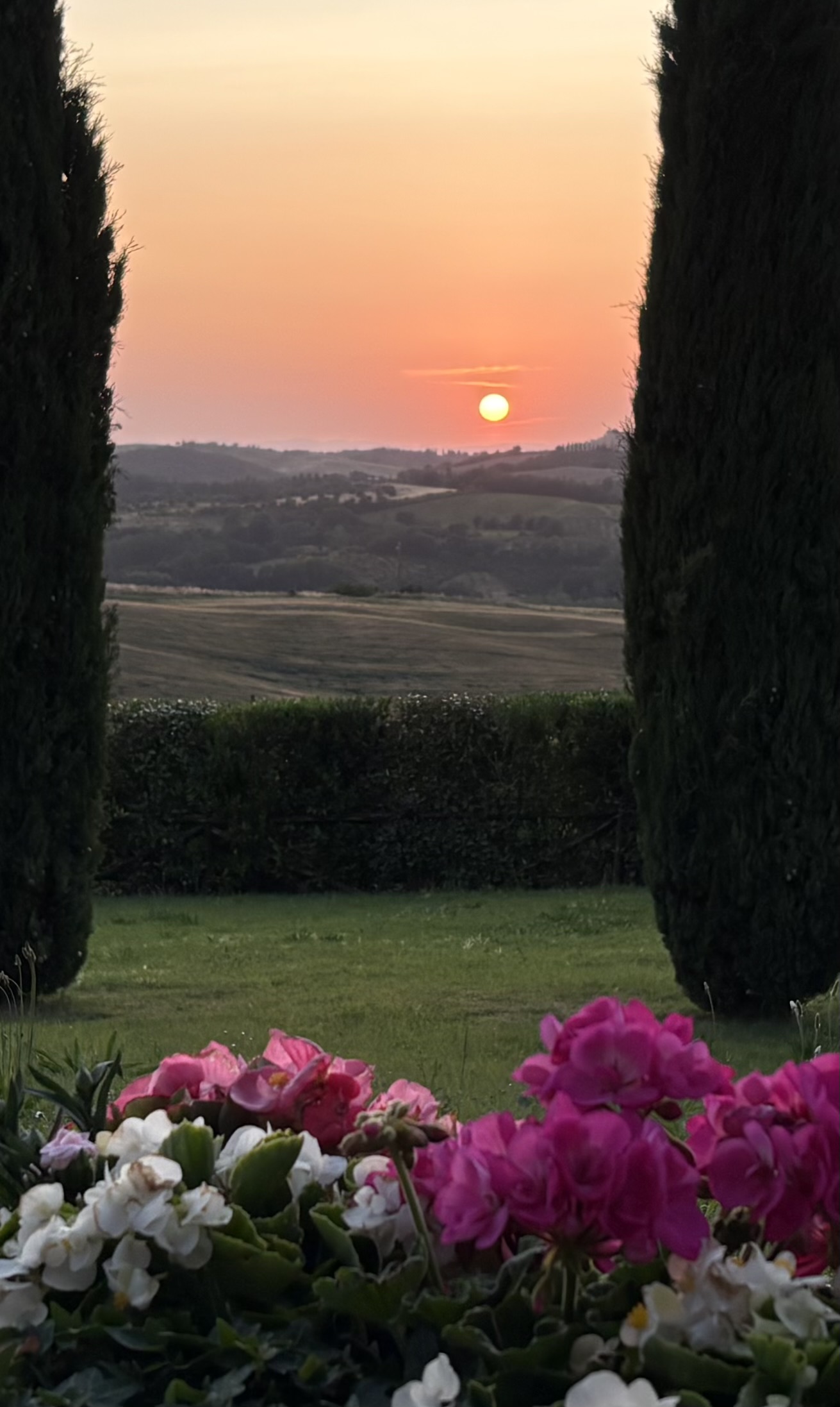 Terrace Sunset